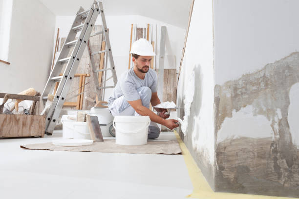 Biohazard Mold Removal in Worthington, MN