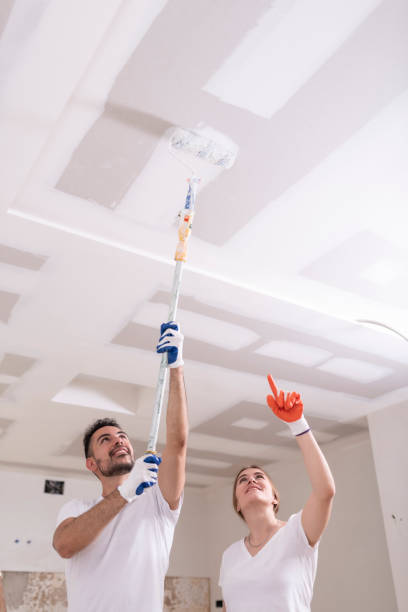 Best Biohazard Mold Removal  in Worthington, MN