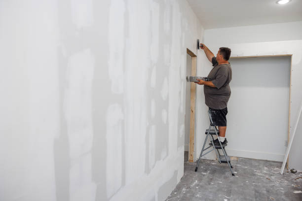  Worthington, MN Mold Removal Pros