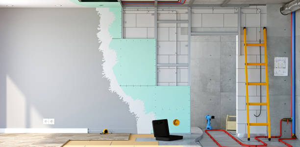 Best Mold Damage Restoration  in Worthington, MN