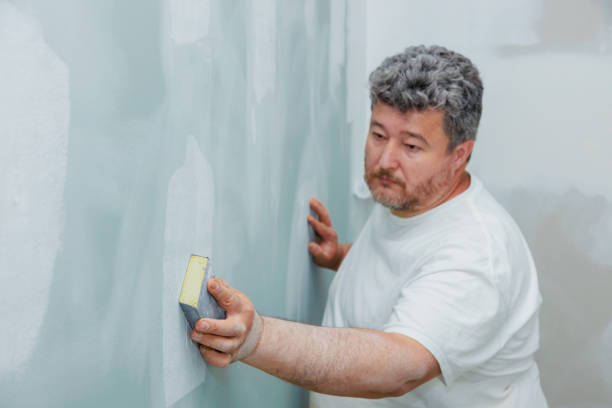 Best Crawl Space Mold Remediation  in Worthington, MN