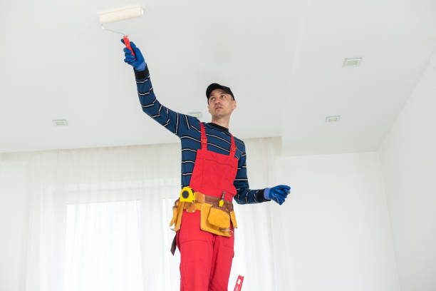 Professional Mold Removal in Worthington, MN