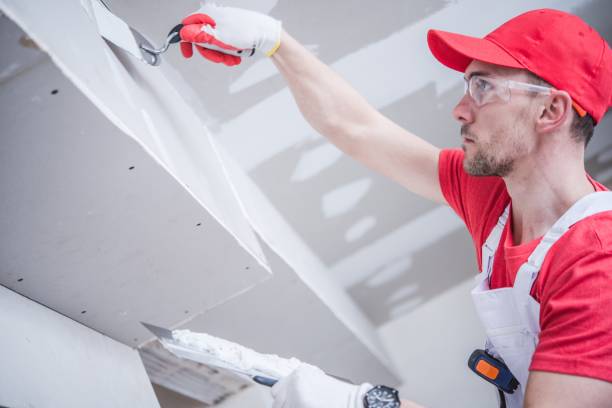 Best Asbestos and Lead Testing During Mold Inspection  in Worthington, MN