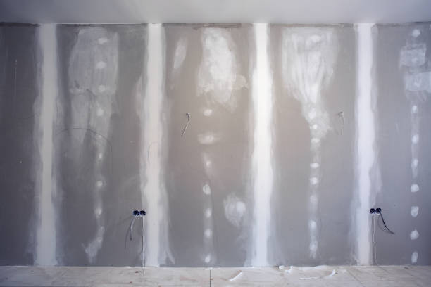 Best Black Mold Removal  in Worthington, MN