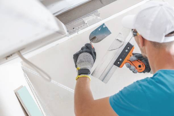 Best Water Damage & Mold Remediation  in Worthington, MN